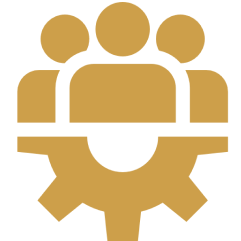 Professional & Responsive Team